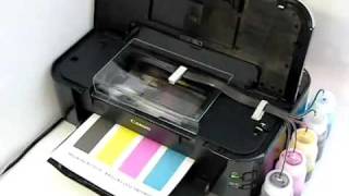 Canon IP3600 With CFS System (InkSupply.com)