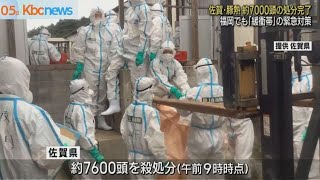 豚熱　約７千頭の処分完了　福岡でも緊急対策