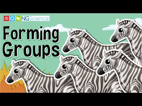 What is a group of organisms that only reproduce with other members of their group?