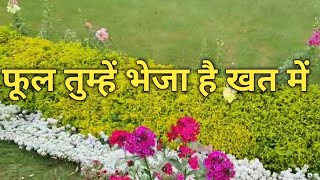 Phool Tumhe Bheja hai Khat Mein | Phool Tumhen Bheja hai Khat Mein | फूल तुम्हें भेजा है खत में| C27