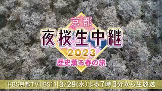 京都・夜桜生中継2023～歴史薫る春の旅×京都新聞社写真部「soradori」