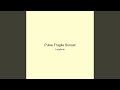 Pulse Fragile Sunset