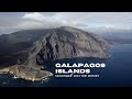 Diving the GALAPAGOS in 2021 (4K)