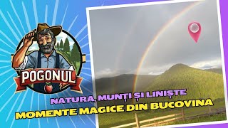 Momente Magice din Bucovina 🌄 Natura, Munți și Liniște