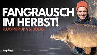 KARPFENANGELN IM HERBST| Finn Wirschull | Fox International | Black Label Baits | Gewinnspiel