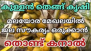 കുള്ളൻ തെങ്ങ് കൃഷി മലയോര മേഖലയിൽ ജല സൗകര്യം ഒരുക്കാൻ തൊണ്ട് കനാൽ | Kullan thengu krishi malayalam