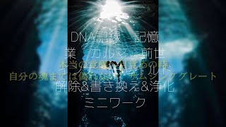 DNA記録　記憶　業　カルマ　前世　インナーチャイルド　解除\u0026書き換え\u0026浄化ミニワーク