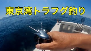 東京湾トラフグ釣り　プレジャーボート　ヤンマーEX38