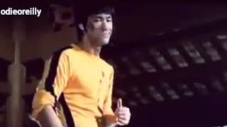 Bruce Lee Scenes From Game of Death