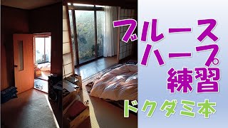 【おばあちゃんの本】ハーモニカ/ブルースハープの練習をしていたら