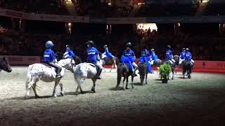 Tondi ponide kadrill Tallinn International Horse Show 2017