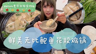 超鲜锅底！花胶鸡鲍鱼锅 汤底简直绝绝子！鲍鱼捞饭 | 墨尔本火锅 | 墨尔本美食 | 墨爾本 | Melbourne Vlogger | Abalone and Chicken Pot