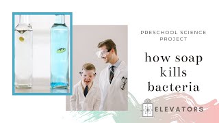 Science Projects for Kids | How Soap Kills Bacteria | Educational Video for Preschoolers