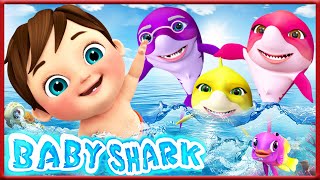 𝑵𝑬𝑾 Baby Shark | BINGO | Twinkle Twinkle Little Star! | More Kids Songs🎶| Banana Cartoon 3D [HD]