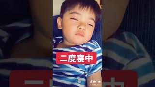 二度寝中  きらキッズ TikTok #Shorts