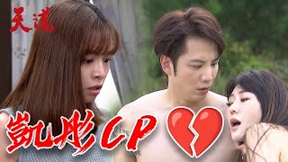 天道 EP102預告｜凱鴻.瑩瑩裸身相伴一夜情？子彤心碎...凱鴻下跪道歉求原諒