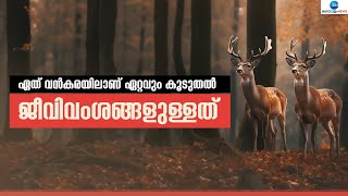 Continent with most Animal Species | ഏത് വൻകരയിലാണ് ഏറ്റവും കൂടുതൽ ജീവിവംശങ്ങളുള്ളത്