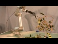 Robotic Arm With Pruner