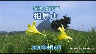 【相馬山】夏の花山歩き 2020年8月6日