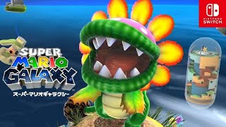 【マリオギャラクシー】タマゴの星のディノパックン エッグプラネットギャラクシー【スーパーマリオ3Dコレクション/Switch】