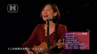 「小野亜里沙企画第17弾目名古屋編!!「紅葉も良いけどライブを見に行こうよぅ☆」後編」 20191122 @SPADE BOX