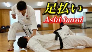 How to "Ashi-barai" (sweep) in Karate, Nemoto Shihan of JKA