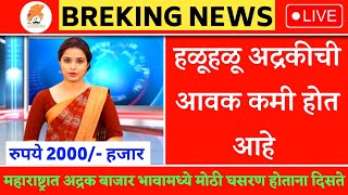 आद्रक बाजार भाव मध्ये मोठी घसरण 🔴 Live update | adrak bhav today |ginger market rate#adrakbajarbhav