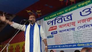 সাধোক রজ্জবআলী দেওয়ানের নাতি ছোট রজ্জব দেওয়ানের গান।Chot rojjob dewan.SWohel baul media.