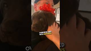 Dad surprised with a chocolate lab ❤️😭