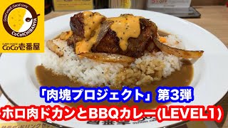 Curry House CoCo Ichibanya - Thorough Meat and BBQ Curry (LEVEL 1)