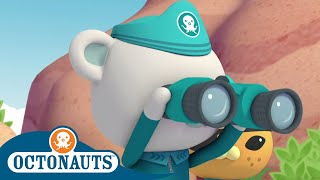 Octonauts - Looking Out for Others | Cartoons for Kids | Underwater Sea Education