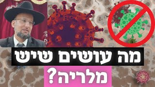 מה עושים שיש מלריה? ומעלת תה השיבה | \