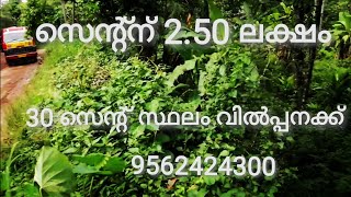 സെന്റ്ന് 2.50 ലക്ഷം. 30 സെന്റ് സ്ഥലം വിൽപ്പനക്ക്. കുന്നമംഗലം 9562424300