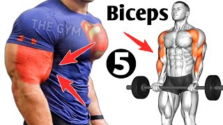 5 Best Exercises For Bigger Biceps Workout