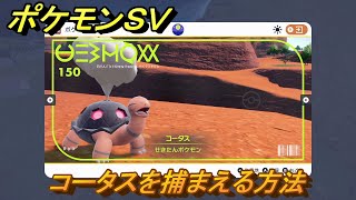 ポケモンＳＶ　コータスを捕まえる方法！出現場所は？図鑑No.１５０　ポケモン図鑑を埋めよう！　【スカーレット・バイオレット】