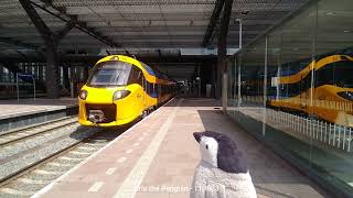 🐧 NS ICNG (+ tyfoon!) @ 🇳🇱 Rotterdam Centraal - 11 June 2023