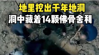 甘肅農民地里挖出千年地洞，洞中藏有武則天下令埋葬的文物 #胡八一探秘古墓 #古墓 #古墓挖掘 #歷史謎團 #兵馬俑的奧秘