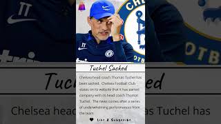 Chelsea News: Chelsea/Todd Boehly Sack Thomas Tuchel