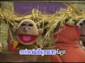 មាន់ ផ្តាសាយបក្សី ៤