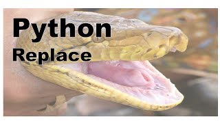 645-Python - Replace (Strings/Substrings) Method