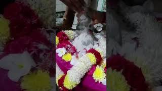 bhasma abhishekam on Monday to Lord shiva