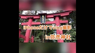 iPhoneだけでvlog撮影in弥彦神社