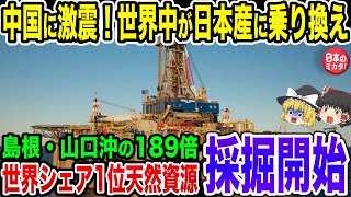 ついに日本が世界最大級の油ガス田を発掘！超高純度の油ガス田で石油大国に！【ゆっくり解説】