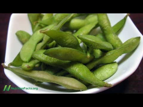 Soy Phytoestrogens for Menopause Hot Flashes Soy Phytoestrogens for Menopause Hot Flashes