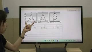 【社会】人口ピラミッドの種類