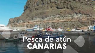 Pesca de atún en Canarias