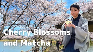 I went to beautiful cherry blossoms spot in japan