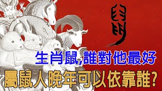 生肖鼠，誰對他最好。屬鼠人晚年可以依靠的人是誰？【佛語】#運勢 #風水 #佛教 #生肖 #佛語禪心