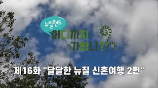 스티봉여행TV [NZ예능] 뉴질랜드 어디까지 가봤니 제16화 / 달달한 신혼여행 제2부