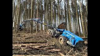 🌲The BIG one • *Rottne H21-D 6WD* • in small wood • Unternehmen HZ-GbR • biggest Harvesters • #1🌲